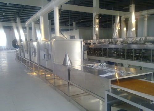 微波技术赋能调味品产业 高效干燥与杀菌的创新解决方案