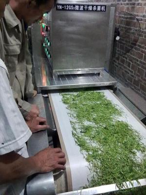 金银花烘干杀青设备与微波干燥设备的技术优势与应用分析
